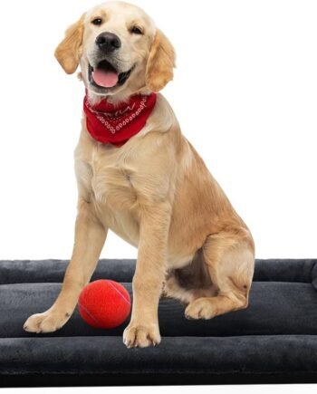 Dog Beds Crate Pad for Dogs Fit Metal Dog Crates,Ultra Soft Dog Crate Bed Washable & Anti-Slip Kennel Pad for Dogs Cozy Sleeping Mat (36inch, Dark Gray)