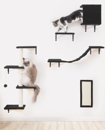 Modern Wall-Mounted Cat Furniture - 5pcs Cat Wall Shelves, Stable Wooden Cat Climber with Cat House, Bridge, Tree, Steps, and Scratcher - Black