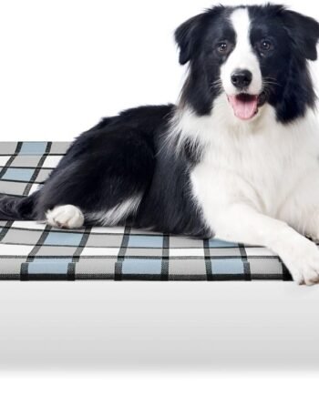 Outdoor Raised Dog Bed Outdoor Dogs Bed Lifted Pet Bed Dog Cot for Medium Pet Taste Life, Start with A Pet Bed 34'' x 26'' x 5''