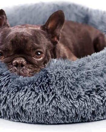 Calming Dog Beds for Small Dogs Clearance Washable Fluffy Luxury Anti-Slip, Waterproof Base Donut Pet Bed with Fur Blanket