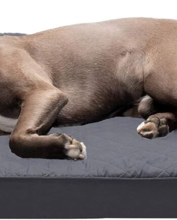 Orthopedic Dog Bed for Large/Medium Dogs w/Removable Bolsters & Washable Cover, For Dogs Up to 55 lbs - Quilted Sofa - Iron Gray, Large