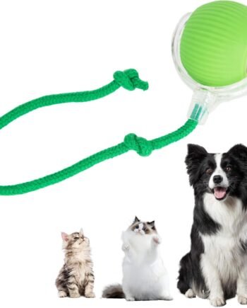 Interactive Cat Toys Ball for Indoor Cats, Interactive Rolling Small Dog Cat Toys Automatic Self Moving, 360°,Electric Balls，Fast Rolling，Smart Automatic Rolling Pet Ball (Green)