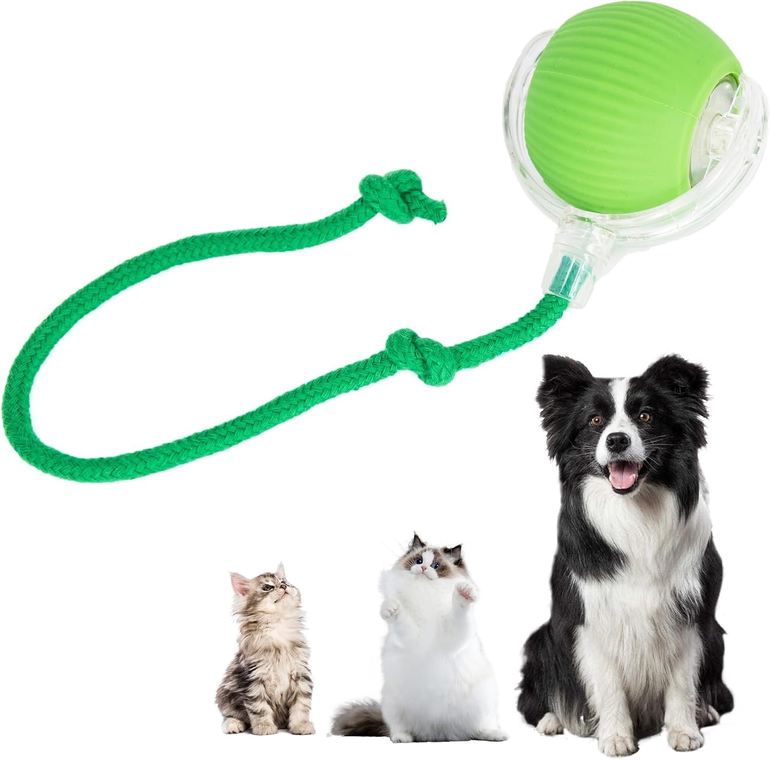 Interactive Cat Toys Ball for Indoor Cats, Interactive Rolling Small Dog Cat Toys Automatic Self Moving, 360°,Electric Balls,Fast Rolling,Smart Automatic Rolling Pet Ball (Green)
